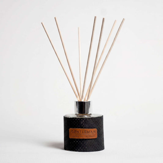Diffuseur de parfum Circuit 100ml