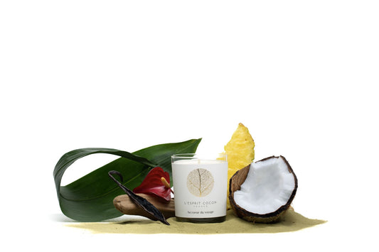 Bougie parfumée  Au cœur du voyage 175g
