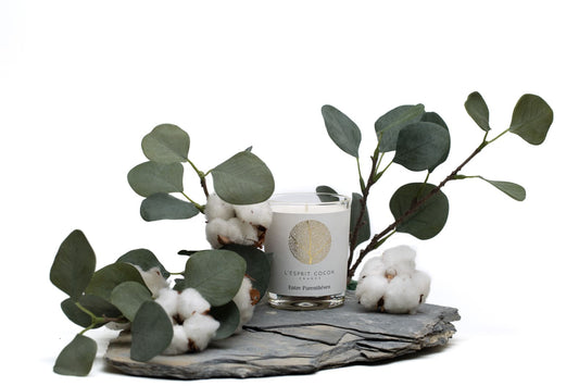 Bougie parfumée  Entre parenthèses 175g