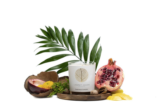Bougie parfumée  Inspiration lointaine 175g