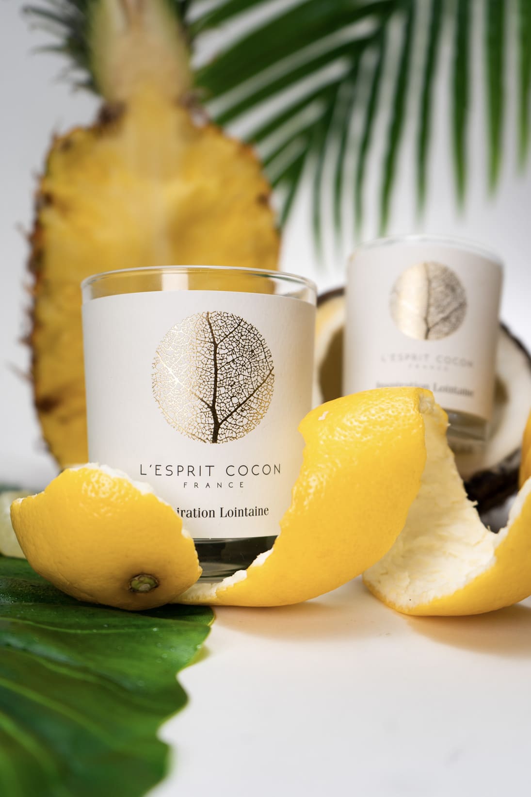 Bougie parfumée  Inspiration lointaine 175g